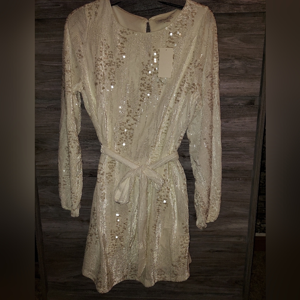 Party dress from Cato